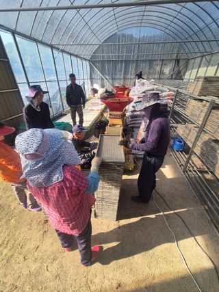 박정원님의 벼 · 영농일지 작성글 사진