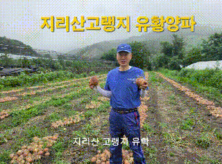 축복의땅 에덴동산님의 기타작물 · 영농일지 작성글 사진