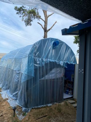 김유찬님의 들깨 · 영농일지 작성글 사진