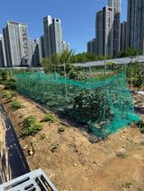 베리의정원님의 작성글 사진