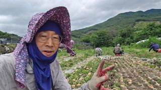 축복의땅 에덴동산님의 기타작물 · 영농일지 작성글 사진