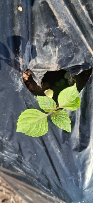 정연섭님의 작성글 사진