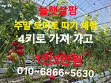 늘햇살팜 님의 작성글 사진