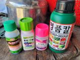 팜모닝 고추·영농일지 게시글 이미지