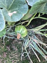 정성훈님의 작성글 사진