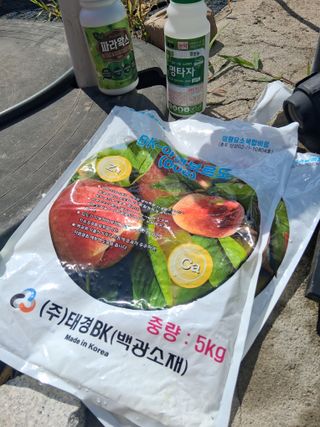 류남열님의 작성글 사진