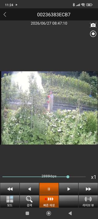 비지땀님의 기타작물 · 영농일지 작성글 사진