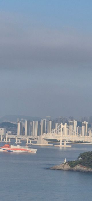 달맞이할배님의 기타작물 · 영농일지 작성글 사진