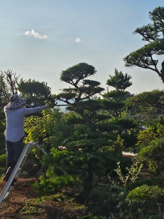 상추22033님의 기타작물 · 영농일지 작성글 사진