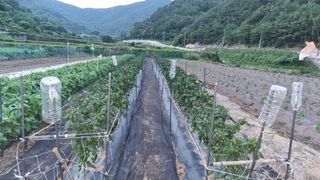 김동명님의 기타작물 · 영농일지 작성글 사진