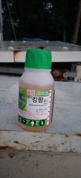 보물섬남자님의 작성글 사진