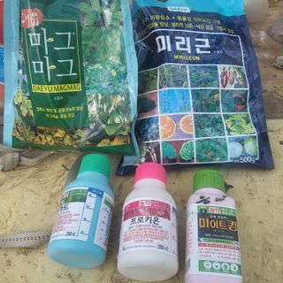 신명호님의 포도 · 영농일지 작성글 사진