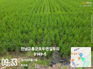 정정치님의 기타작물 · 영농일지 작성글 사진