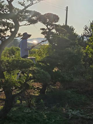상추22033님의 기타작물 · 영농일지 작성글 사진