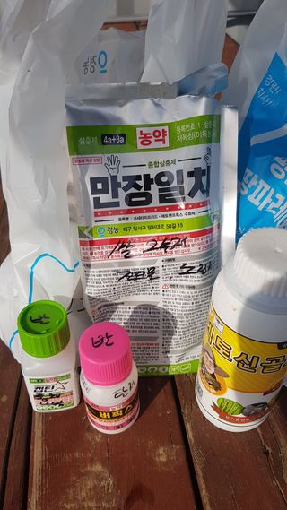 최춘득 청대산 님의 기타작물 · 영농일지 작성글 사진