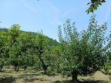 김유봉님의 작성글 사진