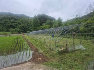 황매산신령님의 기타작물 · 영농일지 작성글 사진