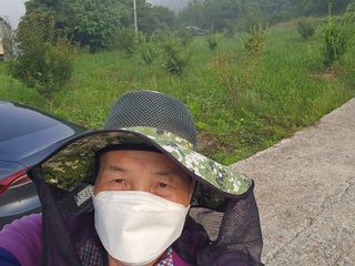 유자황칠님의 기타작물 · 영농일지 작성글 사진