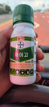 정찬우 님의 작성글 사진