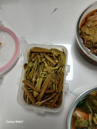 거창두릅농원김성희님의 기타작물 · 영농일지 작성글 사진