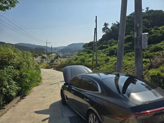 유자황칠님의 기타작물 · 영농일지 작성글 사진