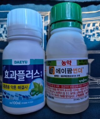 박찬애님의 기타작물 · 영농일지 작성글 사진