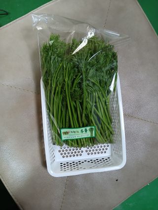 거창두릅농원김성희님의 두릅 · 영농일지 작성글 사진