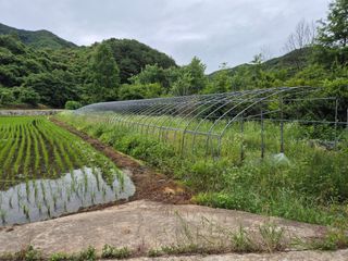 황매산신령님의 기타작물 · 영농일지 작성글 사진