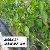 시민농장님의 작성글 사진