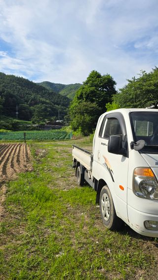 이규섭님의 들깨 · 영농일지 작성글 사진