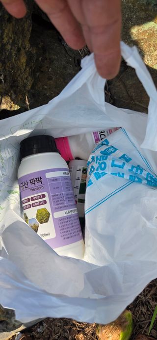 정찬우 님의 옥수수 · 영농일지 작성글 사진