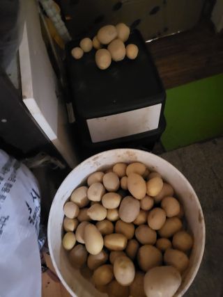 최병우님의 벼 · 영농일지 작성글 사진