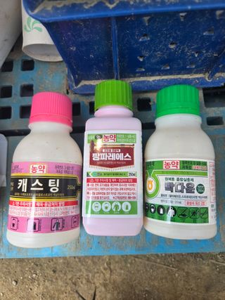 고재근님의 포도 · 영농일지 작성글 사진