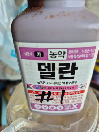 박웅길님의 고추 · 영농일지 작성글 사진