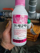 라이온3241님의 작성글 사진