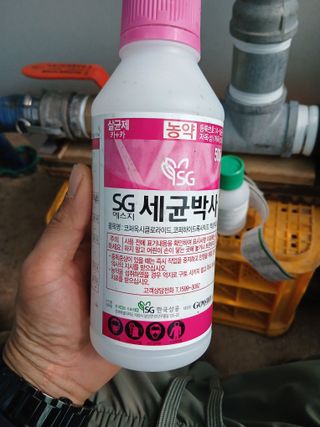라이온3241님의 귤 · 영농일지 작성글 사진
