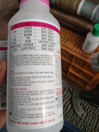 라이온3241님의 귤 · 영농일지 작성글 사진