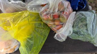 정인재님의 기타작물 · 영농일지 작성글 사진