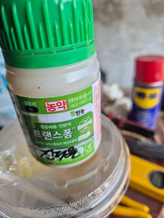 박웅길님의 고추 · 영농일지 작성글 사진