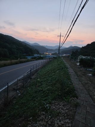 이영철님의 기타작물 · 영농일지 작성글 사진