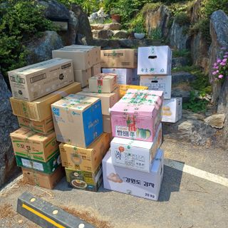삼성농산님의 마늘 · 영농일지 작성글 사진