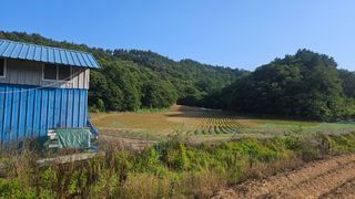 김상년님의 콩 · 영농일지 작성글 사진