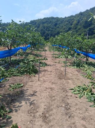 류남열님의 기타작물 · 영농일지 작성글 사진