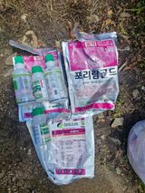 두진팜 사과농원님의 작성글 사진