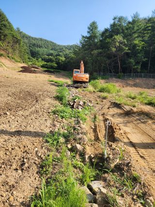 강정아님의 작성글 사진