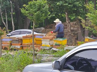 발해인님의 기타작물 · 영농일지 작성글 사진