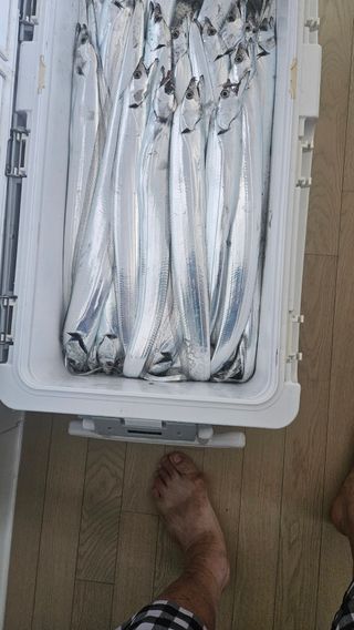 이순정남58님의 고추 · 영농일지 작성글 사진