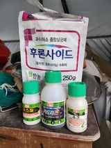 팜모닝 기타작물·영농일지 게시글 이미지