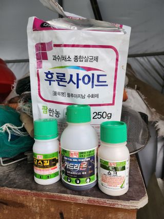 제2의인생출발님의 기타작물 · 영농일지 작성글 사진