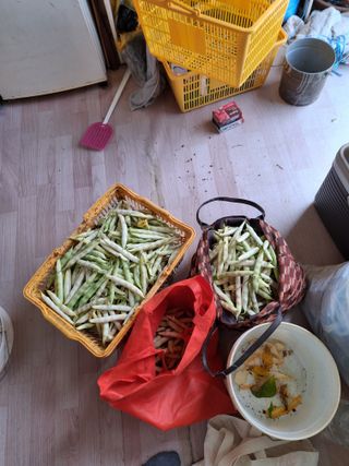 백영호님의 기타작물 · 영농일지 작성글 사진